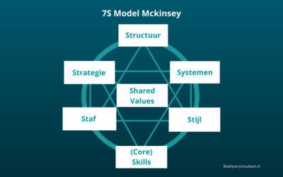 7S Model McKinsey: Uitleg & Voorbeelden
