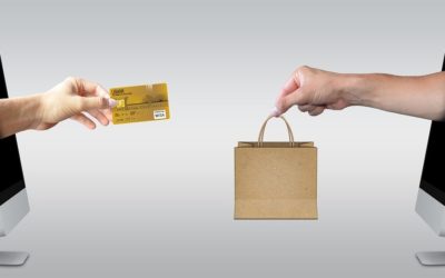 B2B & B2C: Betekenis, Voorbeelden & Uitleg